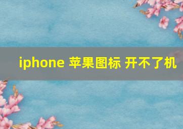 iphone 苹果图标 开不了机